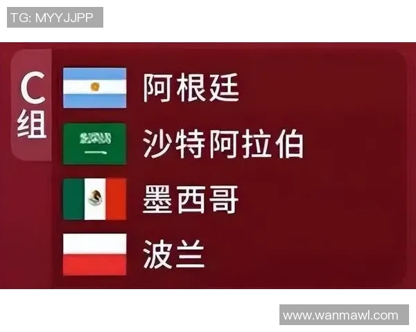 俄罗斯与沙特比赛数据分析及结果总结探讨