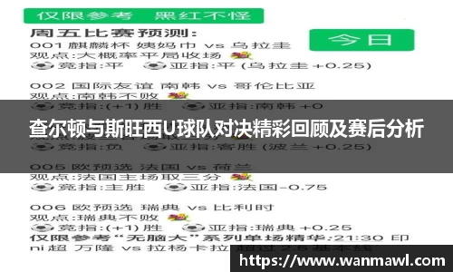 查尔顿与斯旺西U球队对决精彩回顾及赛后分析