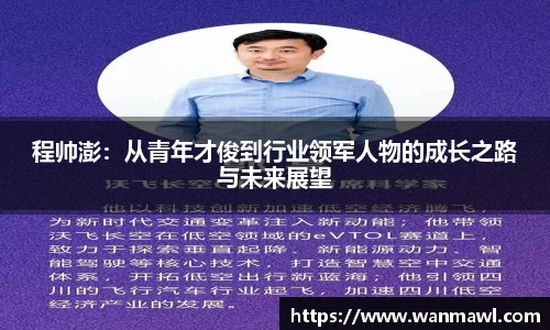 程帅澎：从青年才俊到行业领军人物的成长之路与未来展望